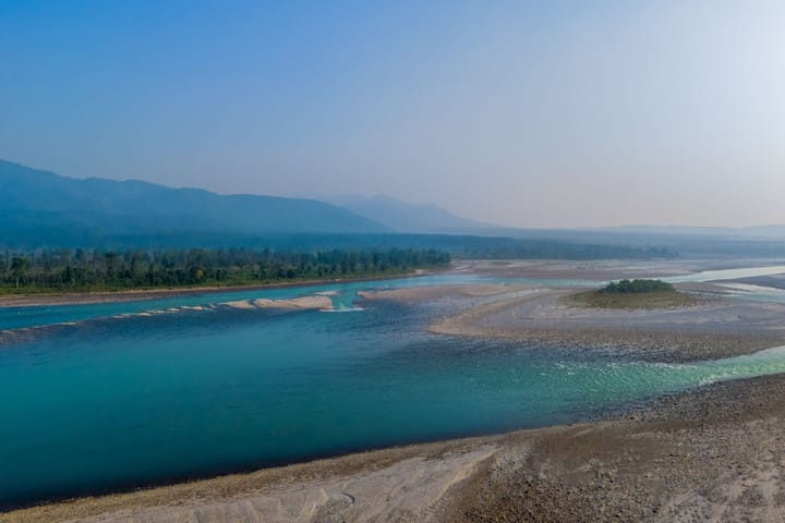 Nirvanika Wellness - Image 4