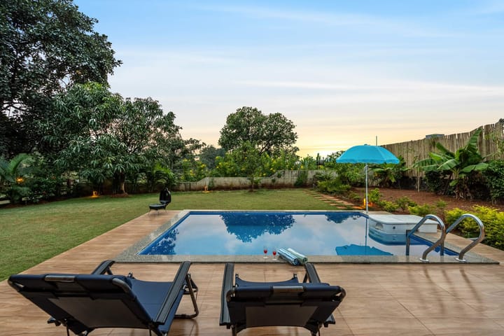 The Green Orchid - Image 3