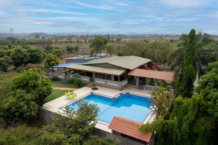 The Blue Roof - Image 2