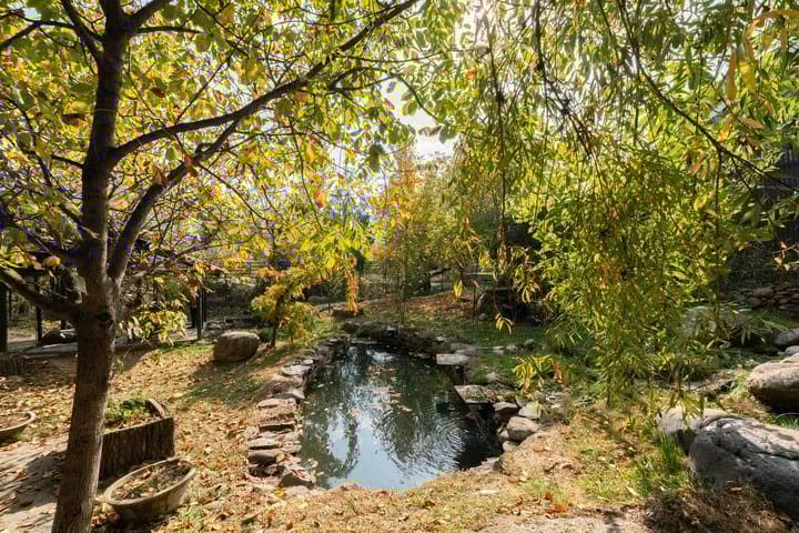 Crystal Creek - Image 5