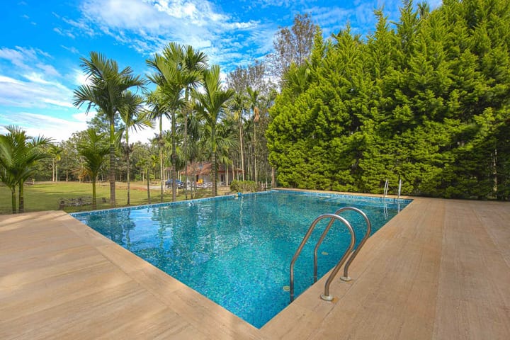 Tall Silver - Image 2