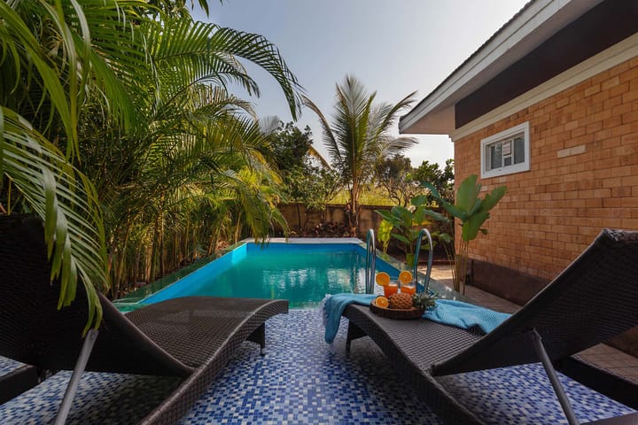 Wandering Greens - Palghar - Image 3