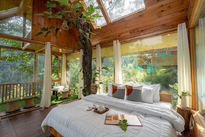 The Sinatra Skylight: Glass treehouse in the mist - Image 4