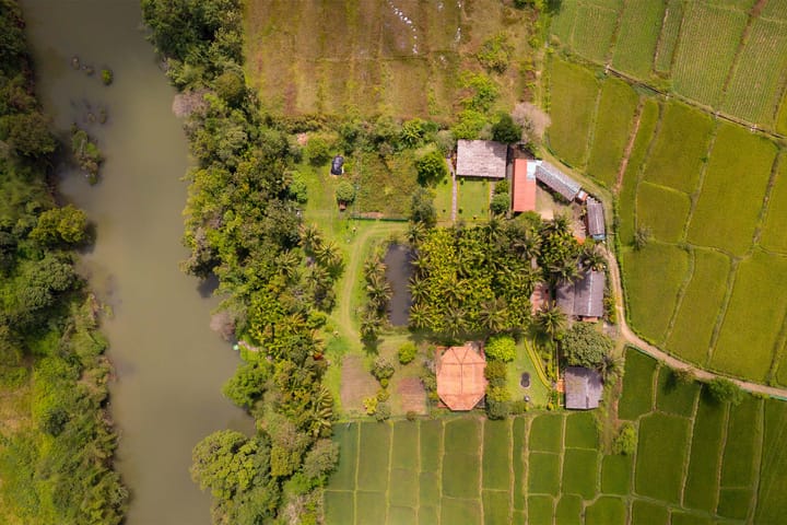 Firefly by the River - Image 4