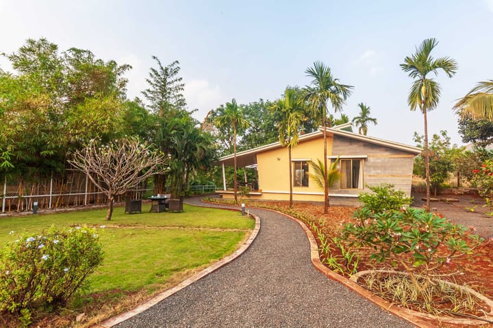 Green Grove - Image 3