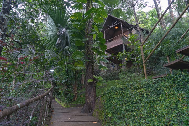 Panchavadi | Tree House On 10-acre Land With Natural Pool, Garden & Restro - Image 2