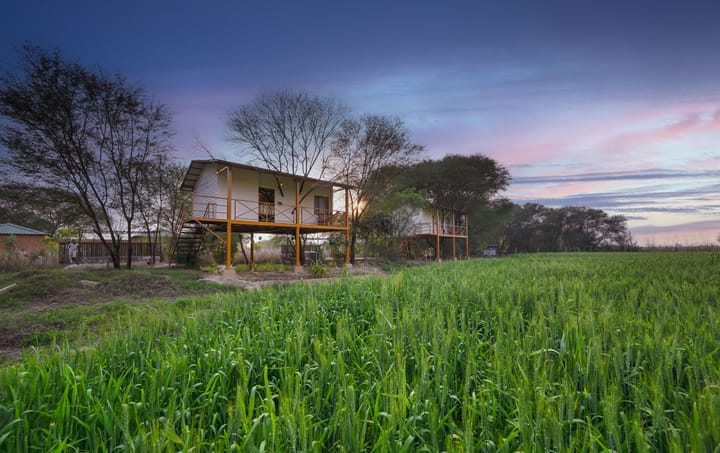 Bagh Serai | Tree-House on 5-Acre Forested Land With Common Pool, Restro & Views - Image 2