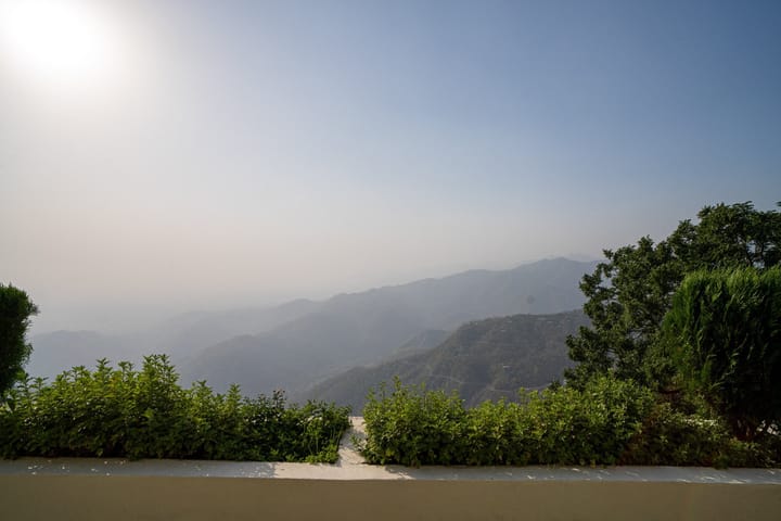 Echoes of Ease - Image 4