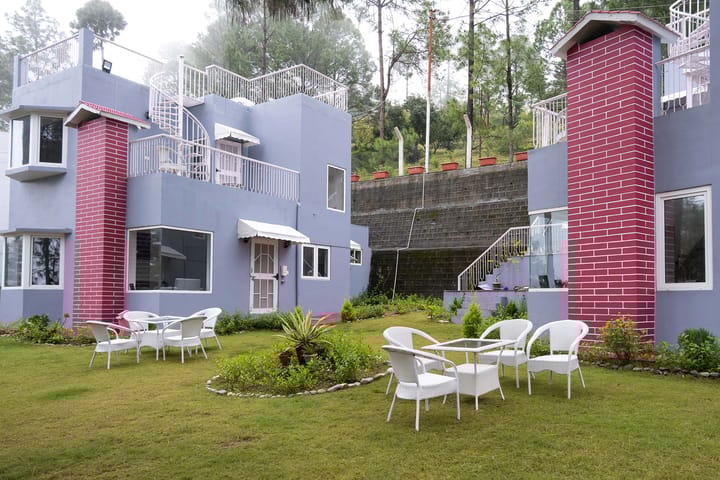 Pines & Spruce - Image 2