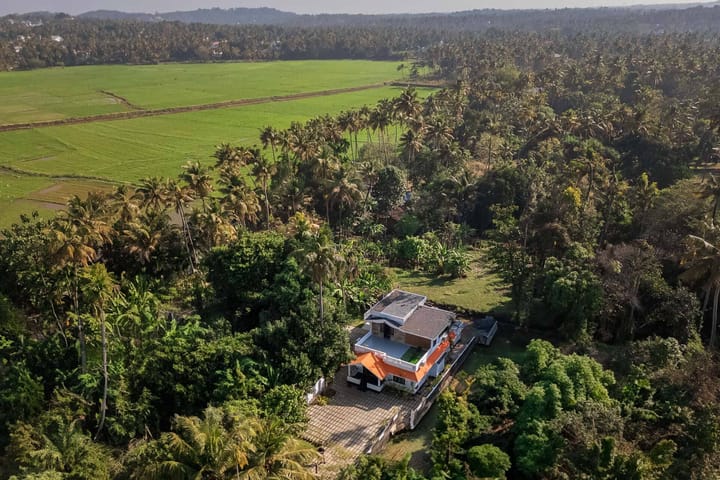 Nature’s Nook - Image 3