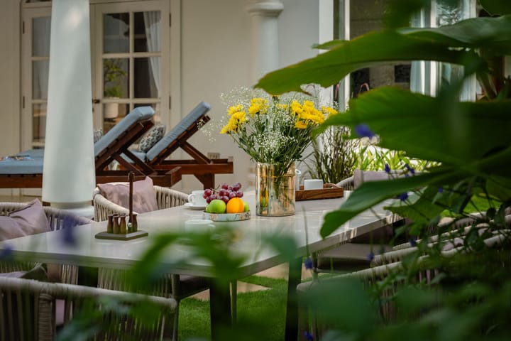 The White Willow - Image 5