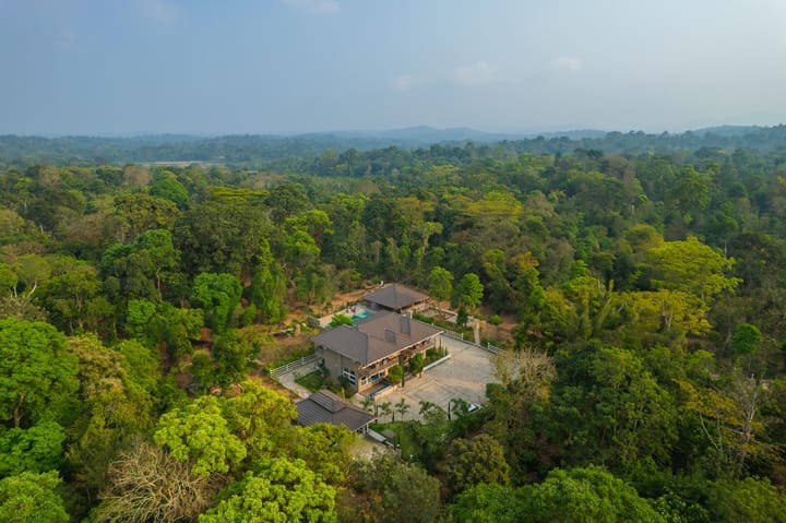 Coffee & Mist - Image 4