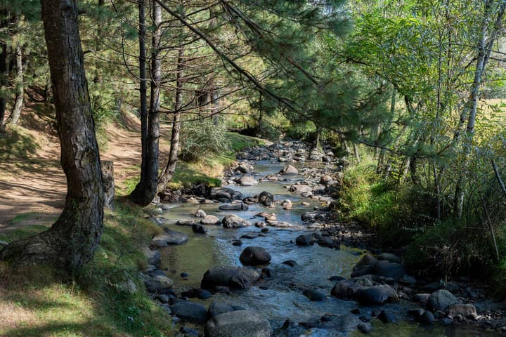 Swiss Chalet - Tangmarg - Image 5