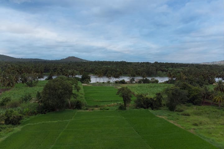 Ava - The Country House - Image 4