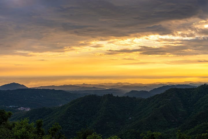 Cedar Haven - Nahan - Image 5