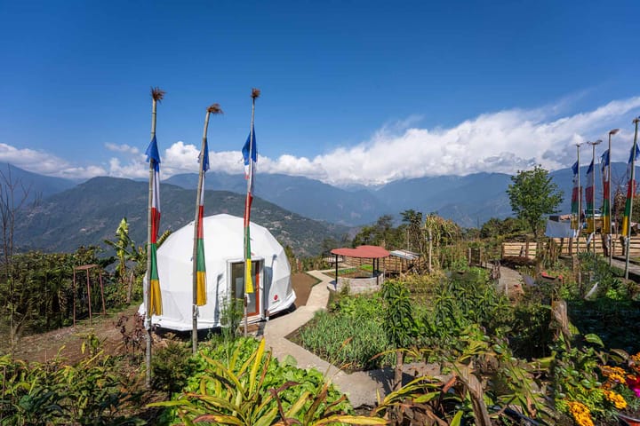 The Stargazer - Image 3