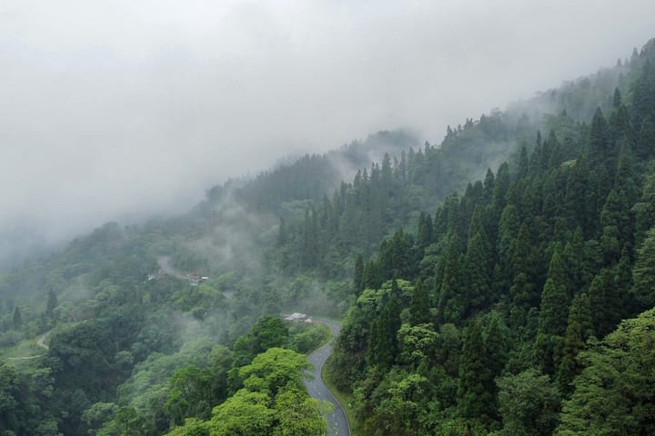 Forktail House - Image 4