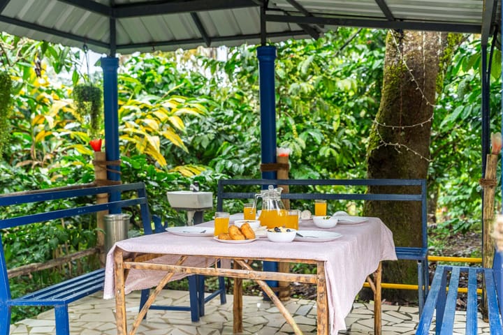 The River Mist - Image 5