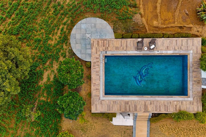 The Saket Farm - Image 3