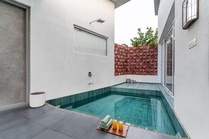 Lazy Mango - Image 3