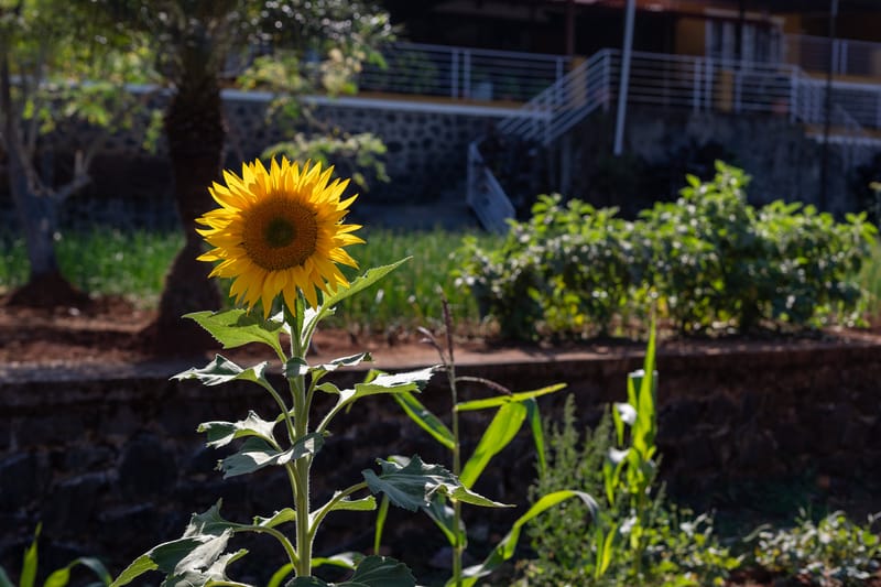 Ekam Lake House - Mulshi – photo 36