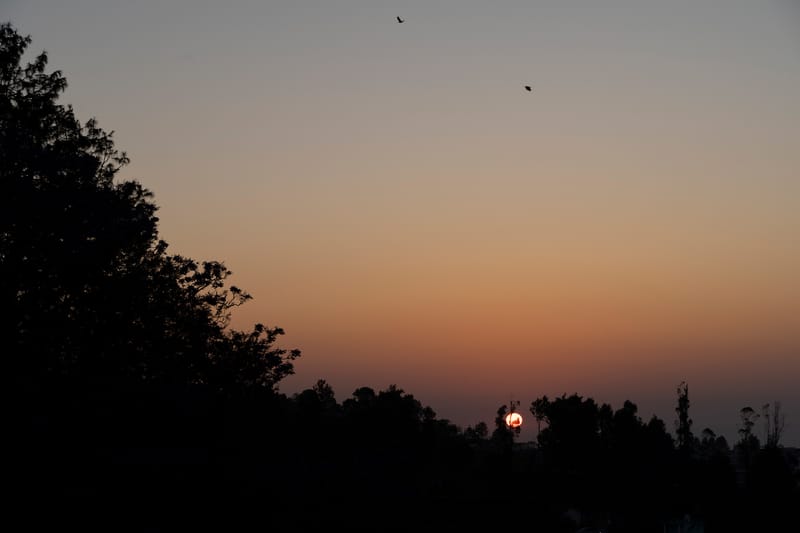 Colonial @ Wyncroft Bungalow - Kotagiri – photo 22