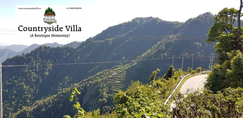 Countryside Villa – photo 46