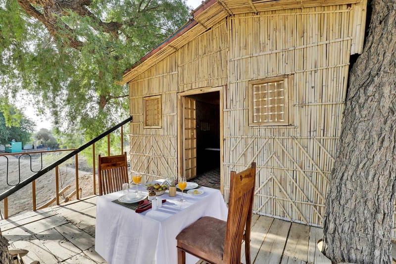 Treehouse @ Sands of Thar – photo 10