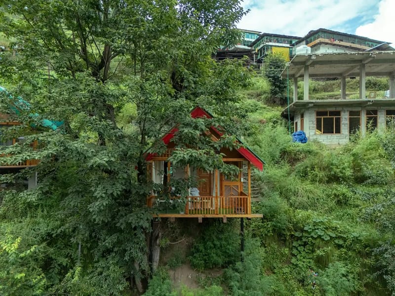 The Sinatra Skylight: Glass treehouse in the mist – photo 40