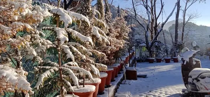 La Foret Cottages; Kaphlani Cottage – photo 23