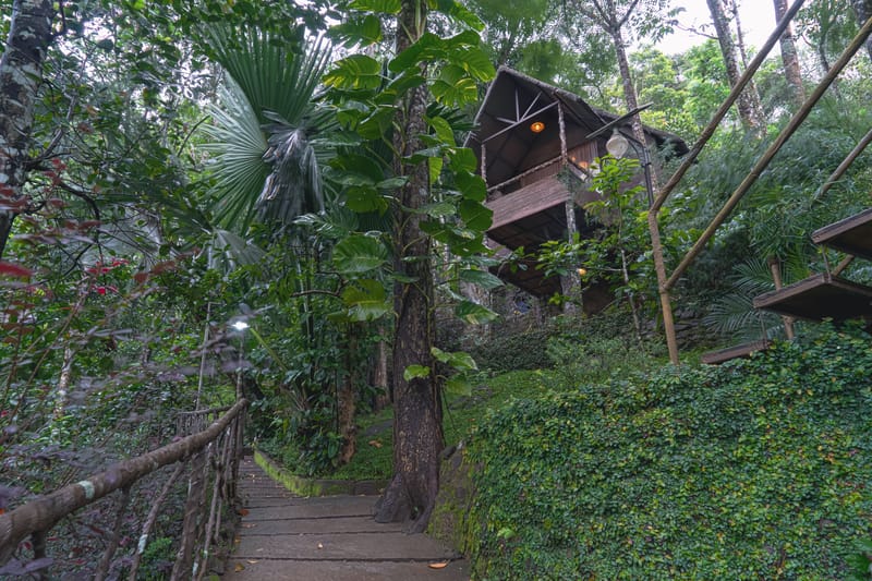 Panchavadi | Tree House On 10-acre Land With Natural Pool, Garden & Restro – photo 2