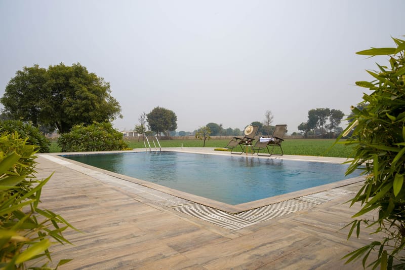 The Saket Farm – photo 32