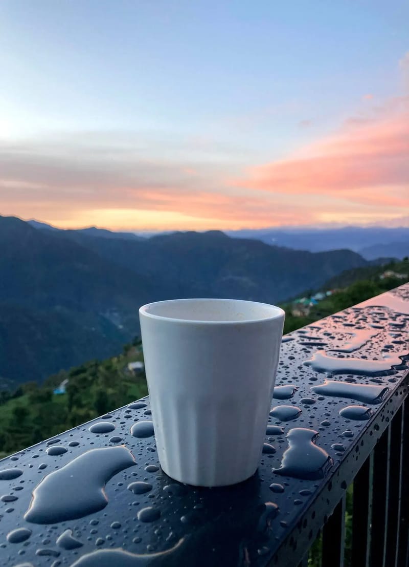 Chamomile Cottage – photo 19