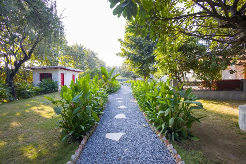 Hidden Oasis | 4-BHK | Mud house | Container | Gazebo | Garden | Pool | Machan | Pet-friendly  – photo 12