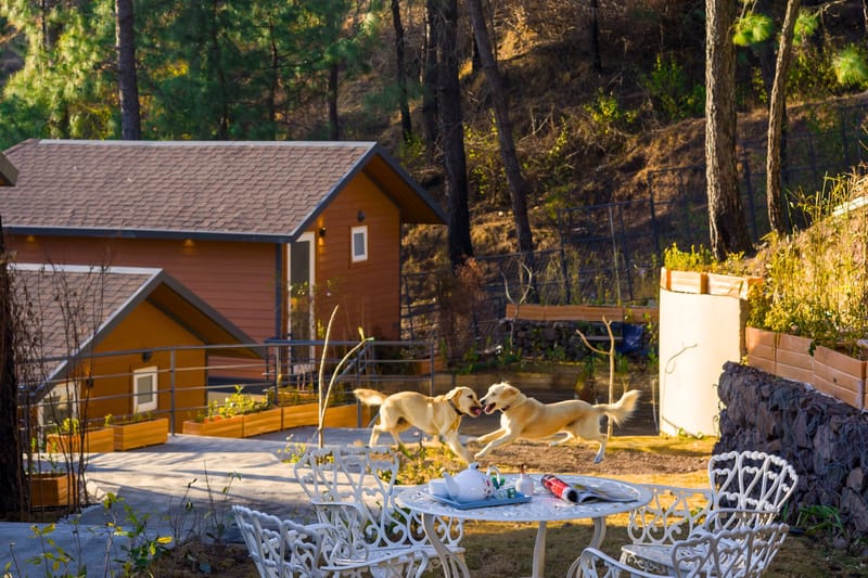 Sirmour Baag Scarlet | A Hillside Pet-Friendly Cottage With Restro & Garden – photo 3