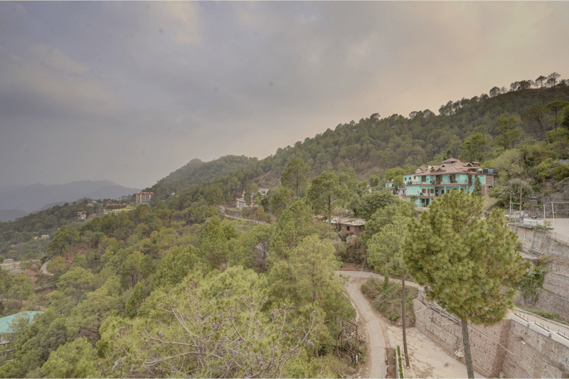 Serene Woods Hotel | 1-Room Escape With Hill Views & In-House Restro – photo 25