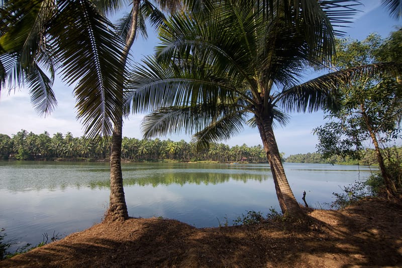 Suvarna Sangam (Mainavathi) – photo 28