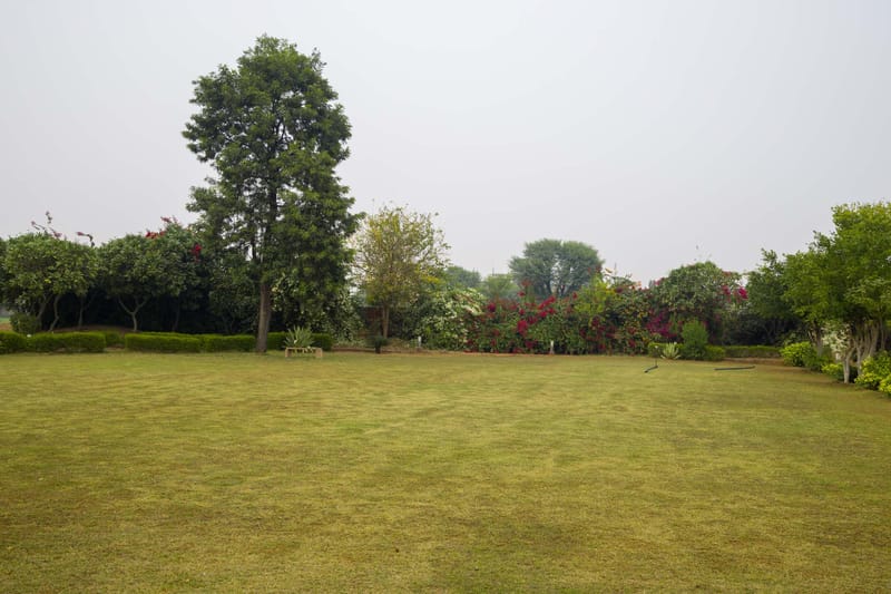 The Saket Farm – photo 33
