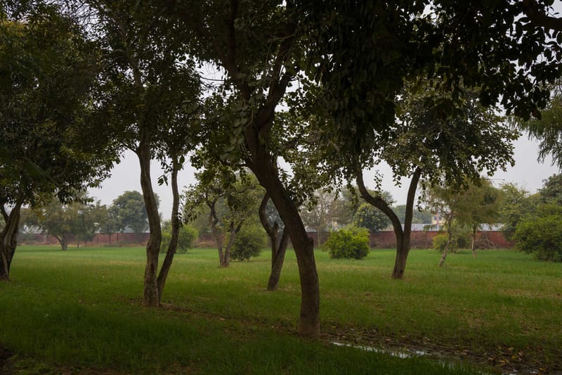 The Saket Farm – photo 34