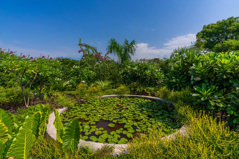 Anantam – photo 15