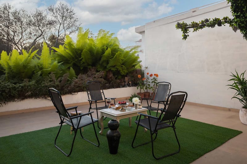 Plush @ Fiddle Leaf Home – photo 1