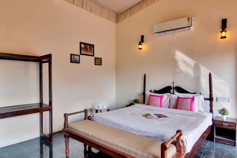 Ranthambore Reverie – photo 16