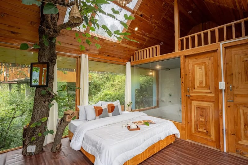 The Sinatra Skylight: Glass treehouse in the mist – photo 3