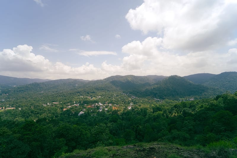 Panchavadi | Forest-Facing Room on 10-acre Land, Shared Natural Pool, Garden & Restro – photo 19