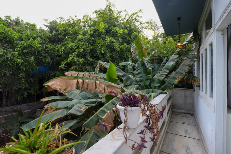 Anugrah Farm | 2-BHK Farmstay+ Kids’ Room with Pvt Pool, Jacuzzi & Lush Garden – photo 24