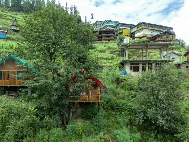 The Sinatra Skylight: Glass treehouse in the mist – photo 42