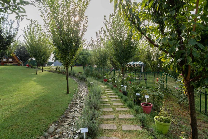 Calm @ Rahat – photo 16