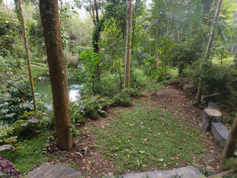 Panchavadi | 10-acre Land With 6 Forest-Facing Rooms, Natural Mountain Pool, Garden & Restro – photo 27