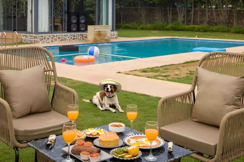 Kaimalgarh Farmstay | Pet–friendly 5-BHK Retreat With Pond, Private Pool, Gazebo & Garden – photo 4