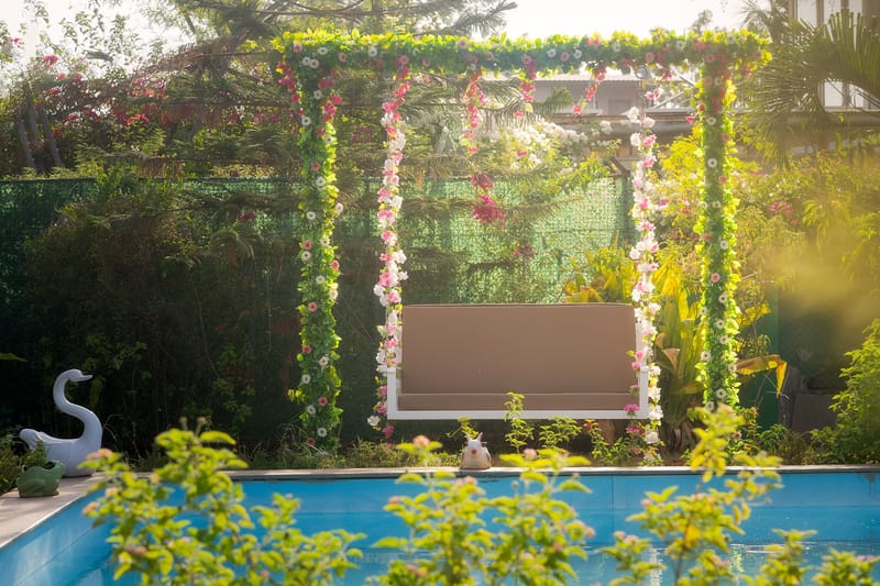 Roselle - Lonavala, Maharashtra – photo 2